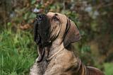 FILA BRASILEIRO 028